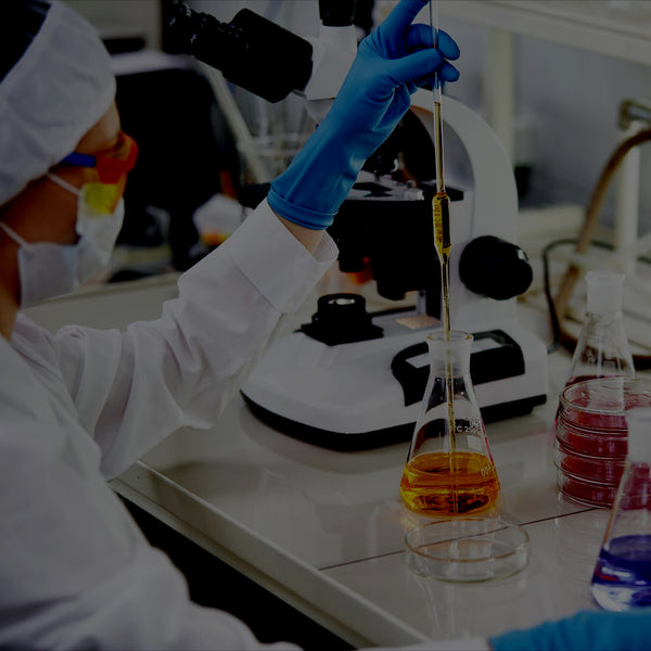 Wissenschaftlich fundierter Ansatz