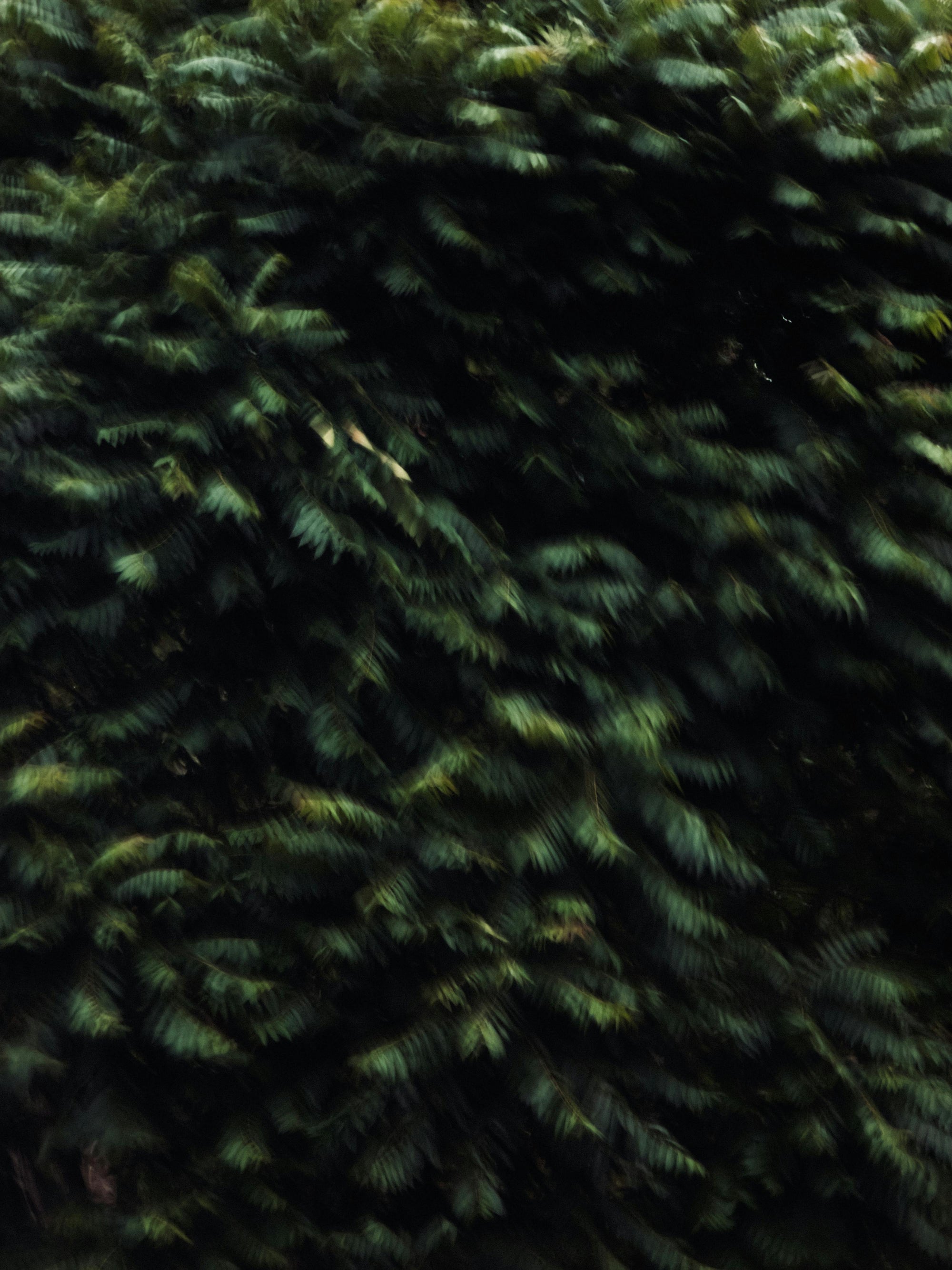 Nicht alle Supplements sind gleich.